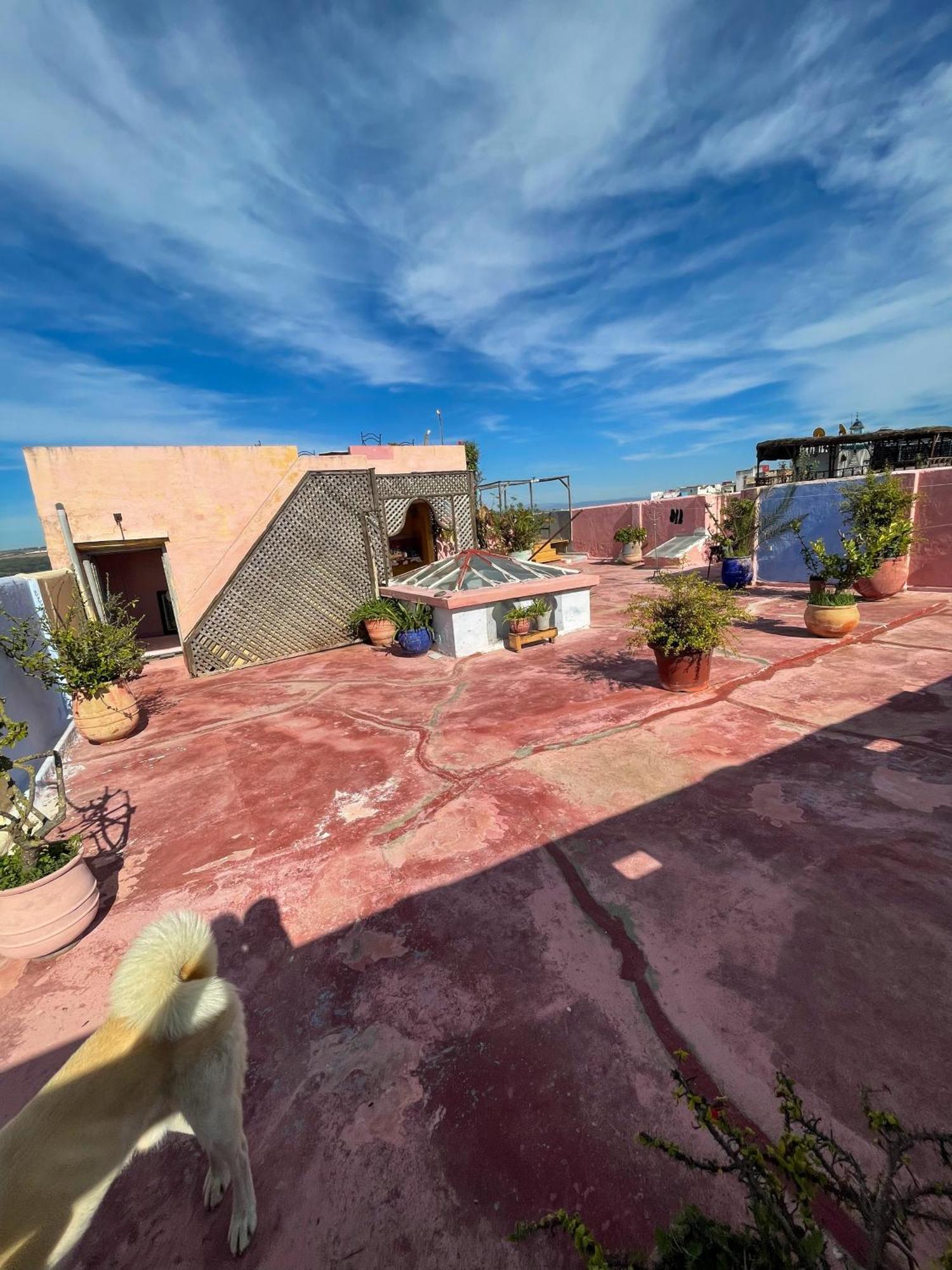 La Maison Haute Larache Morocco Buitenkant foto